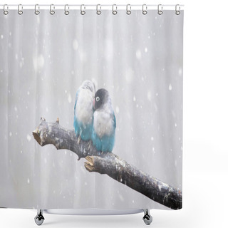 Personality  Pair Of Blue Lovebird Parrots In Falling Snow. Climate Changing Concept. Shower Curtains