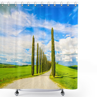 Personality  Tuscany, Cypress Trees White Road Rural Landscape, Italy, Europe Shower Curtains