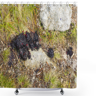 Personality  Marking By The Excrement Of The Feeding Territory By The Brown Bear (Ursus Arctos). Shower Curtains