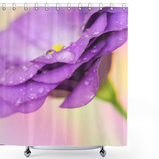 Personality  Lisianthus Flower On Pastel Background Shower Curtains