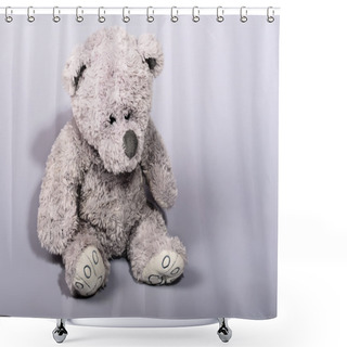 Personality  Teddy Bear Waiting For A Friend Shower Curtains