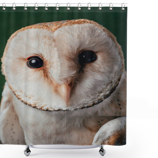 Personality  Close Up View Of Cute Wild Barn Owl Muzzle Shower Curtains