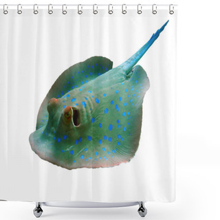 Personality  Bluespotted Stingray Shower Curtains