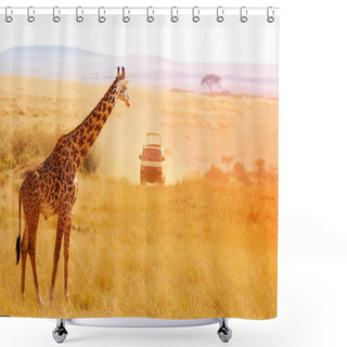 Personality  Giraffe Looking At Safari Jeep At Sunset Shower Curtains