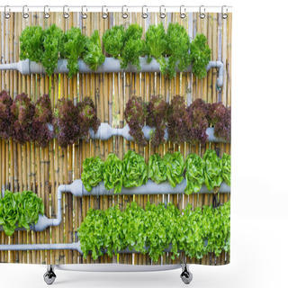 Personality  Hydroponic Vertical Gardening Shower Curtains