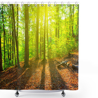 Personality  Sunny Forest Scene Shower Curtains