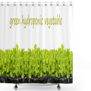 Personality  Organic Shower Curtains
