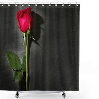 Personality  Red Rose Macro Over Dark Black Wood Shower Curtains