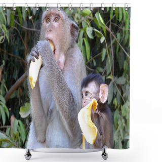 Personality  Two Monkeys Mom And Cub Eat Bananas Grey Yellow Green Cambodia Thailand India Asia Shower Curtains