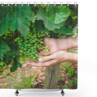 Personality  Green Grapes Shower Curtains