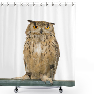 Personality  Owl Animal Shower Curtains