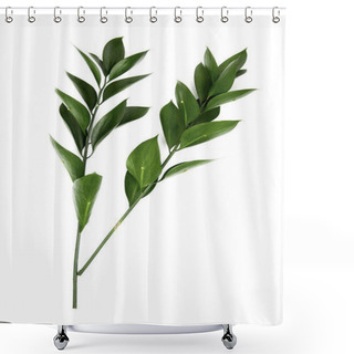 Personality  Twigs With Green Leaves Isolated On White Shower Curtains