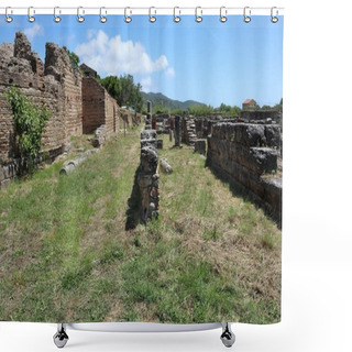 Personality  Velia, Campania, Italy - June 7, 2020: Archaeological Park Of Paestum And Velia Shower Curtains