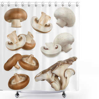 Personality  Edible Mushrooms Icons Set Shower Curtains