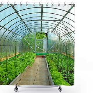 Personality  Vegetable Greenhouses Made Of Transparent Polycarbonate Shower Curtains