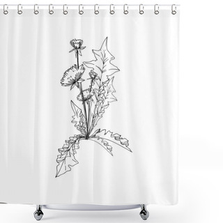 Personality  Vector Wildflowers Floral Botanical Flowers. Black And White Engraved Ink Art. Isolated Flower Illustration Element. Shower Curtains