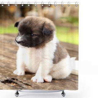 Personality  Little Puppy Resting On Wooden Table Shower Curtains