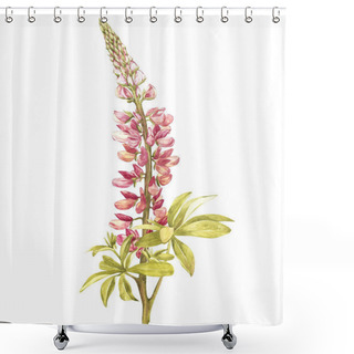 Personality  Illustration In Watercolor Of Lupine Flower. Floral Card With Flowers. Botanical Illustration. Shower Curtains