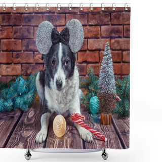 Personality  Black And White Adult Dog In New Years False Ears Shower Curtains