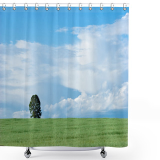 Personality  The Lonely Tree Shower Curtains