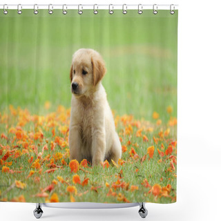 Personality  Cute Puppy Golden Retriever Running In The Park. Shower Curtains