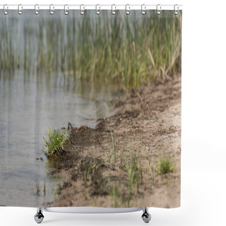 Personality  Selective Focus Of Sandy River Coast With Green Grass Shower Curtains