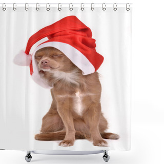 Personality  Dreaming Christmas Dog Wearing Santa Hat Shower Curtains
