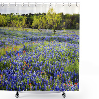 Personality  Bluebonnets In Texas Hill Country Shower Curtains