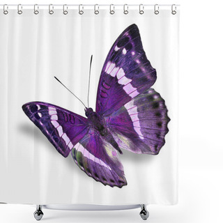 Personality  Purple Butterfly Shower Curtains