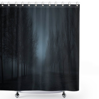 Personality  Dark Foggy Park During Winter At Night Or Dusk Shower Curtains