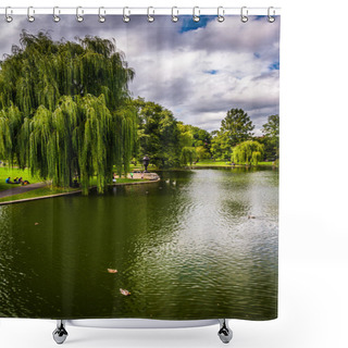 Personality  Weeping Willow Trees And A Pond In The Boston Public Garden. Shower Curtains