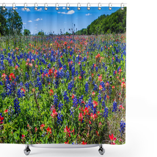 Personality  A Beautiful Field Blanketed With Bright Blue Texas Bluebonnets And Bright Orange Indian Paintbrush Wildflowers. Shower Curtains