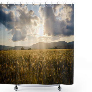 Personality  Scene Of Sunset Or Sunrise On The Field With Young Rye Or Wheat In The Summer With A Cloudy Sky Background. Landscape. Shoot With Shallow Depth Of Field. Shower Curtains