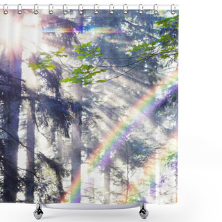 Personality  Golden Rays Of Spruce Forest Shower Curtains