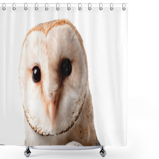 Personality  Cute Wild Barn Owl Muzzle Isolated On White Shower Curtains