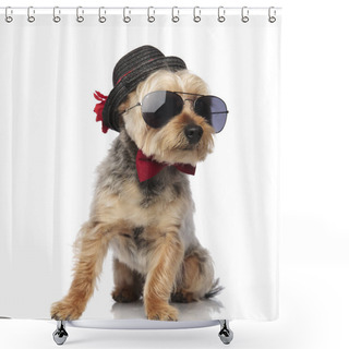 Personality  Orkshire Terrier Wearing Sunglasses And Decorated Hat Shower Curtains