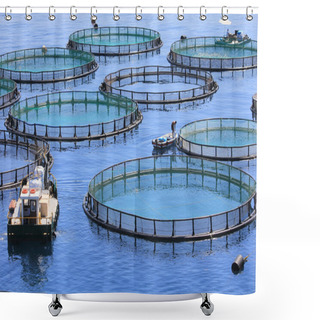 Personality  Fish Farm Shower Curtains