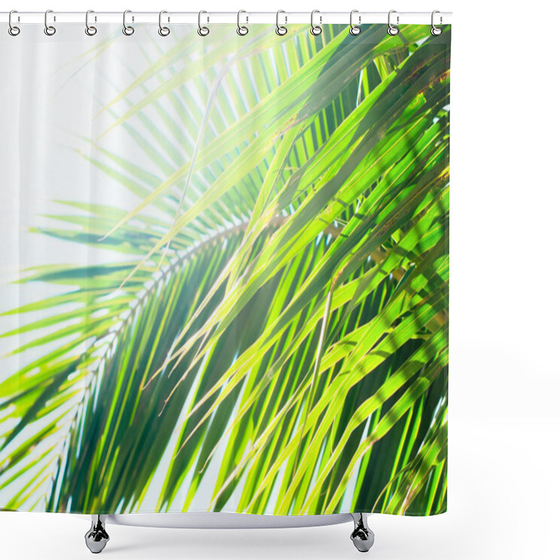 Personality  Sun Light Through Palm Leaves. For Holiday Travel Design Shower Curtains