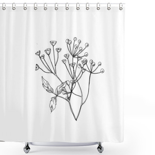 Personality  Vector Wildflowers Floral Botanical Flowers. Black And White Engraved Ink Art. Isolated Flower Illustration Element. Shower Curtains