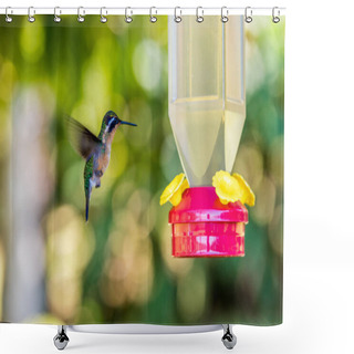 Personality  Beautiful Hummingbird With Amazing Colors Shower Curtains