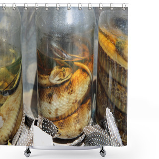 Personality  Pickled Snakes Shower Curtains