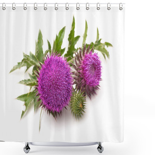 Personality  Milk Thistle Plant Shower Curtains