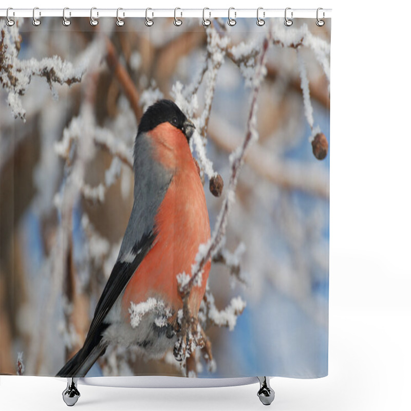 Personality  Bird And Hoarfrost Shower Curtains