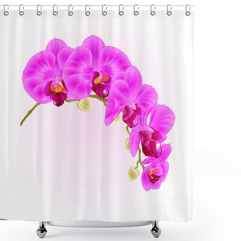 Personality  Beautiful  Phalaenopsis Orchid purple  stem with flowers and  buds  closeup vintage isolated vector  editable illustration shower curtains
