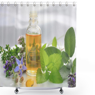 Personality  Natural Fresh Herbs Shower Curtains