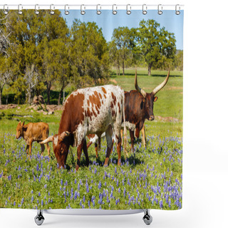 Personality  Texas Cattle Grazing Shower Curtains
