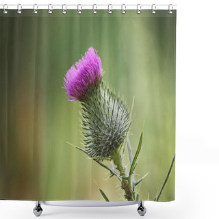 Personality  Close Up Of A Milk Thistle Plant With The Flower Blooming On Top Of Thorns Shower Curtains