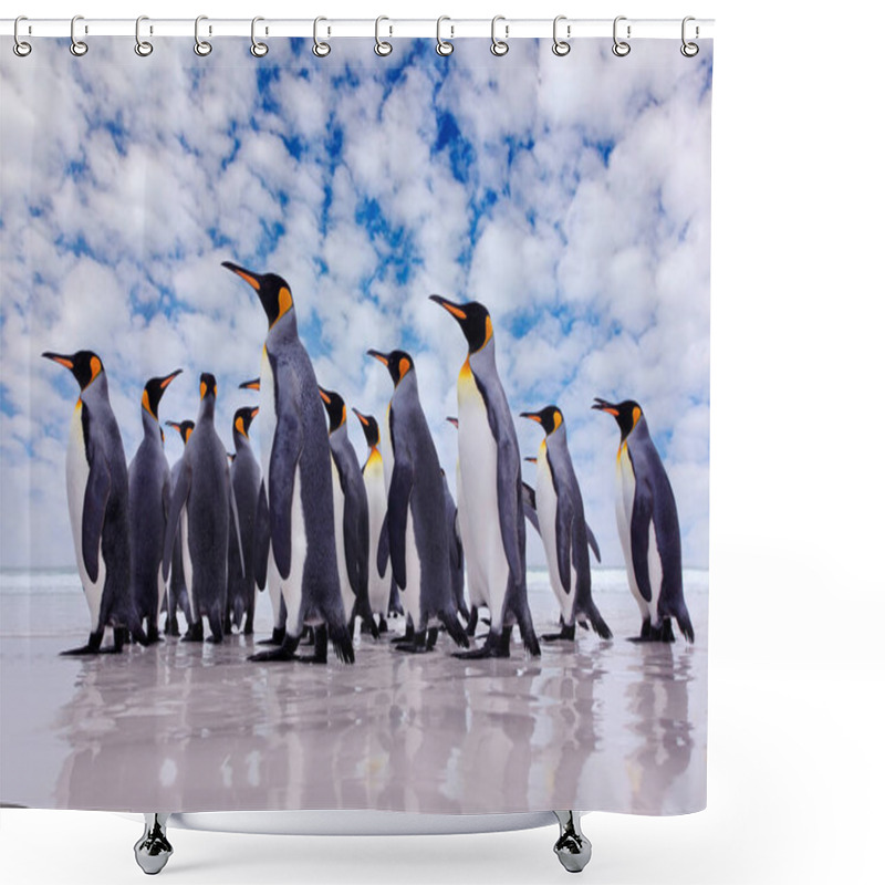 Personality  Antarctica Wildlife, Penguin Colony. Group Of King Penguins Coming Back From Sea To Beach With Wave And Blue Sky In Background, South Georgia, Antarctica. Blue Sky And Water Bird In Atlantic Ocean.  Shower Curtains