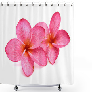 Personality  Frangipani (plumeria) Flower Isolated  Shower Curtains