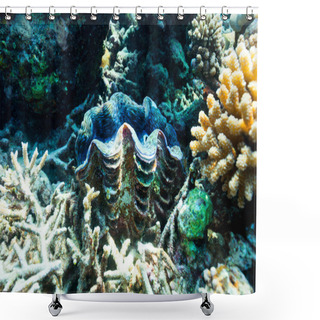 Personality  Coral Reef Underwater Shower Curtains